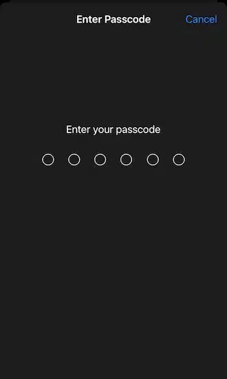 ?Step 5: Enter the phone's correct passcode.