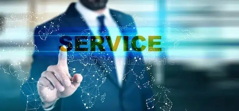 Professional Support Service