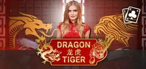 Overview of Dragon Tiger