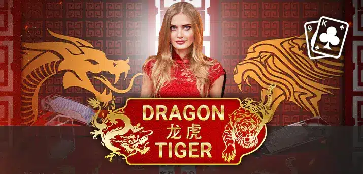 Overview of Dragon Tiger